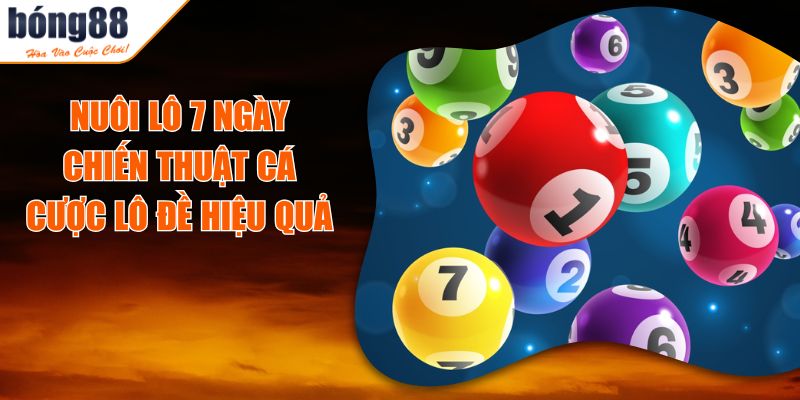 Nuôi Lô 7 Ngày - Chiến Thuật Cá Cược Lô Đề Hiệu Quả